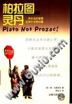 柏拉图灵丹