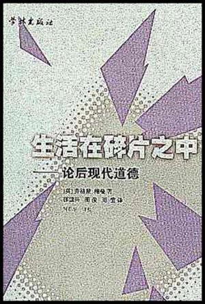 生活在碎片之中