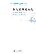 作为实践的文化
