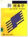新现象学/当代学术思潮译丛
