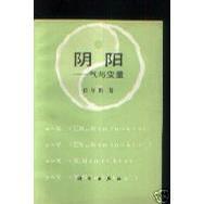 阴阳--气与变量