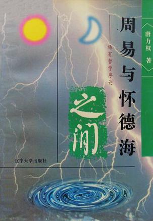 周易与怀德海之间--场有哲学序论