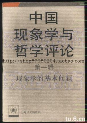 中国现象学与哲学评论(第一辑)