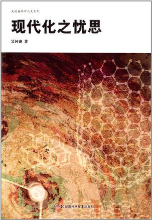 现代化之忧思