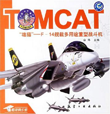 雄猫-F-14舰载多用途重型战斗机