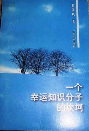 一个幸运知识分子的坎坷