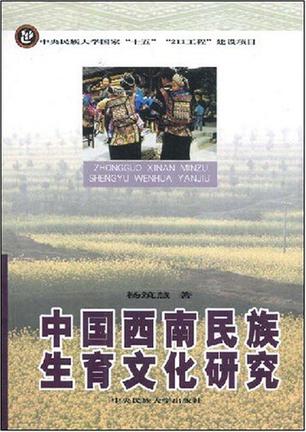 中国西南民族生育文化研究
