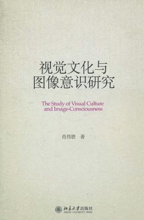 视觉文化与图像意识研究