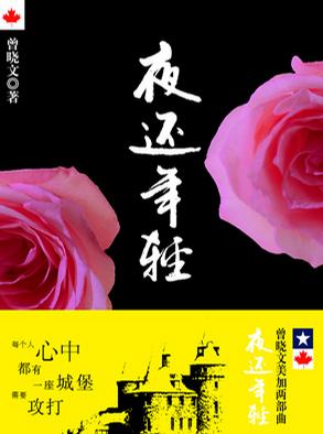 夜还年轻