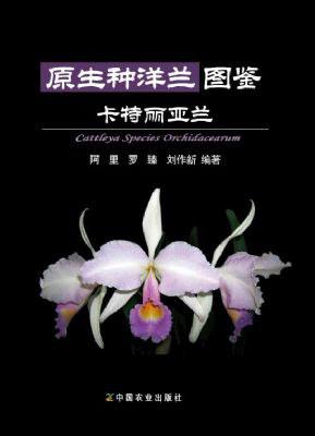 原生种洋兰图鉴