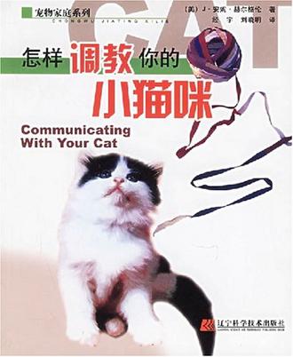 怎样调教你的小猫咪