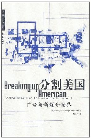 分割美国:广告主与新媒介世界