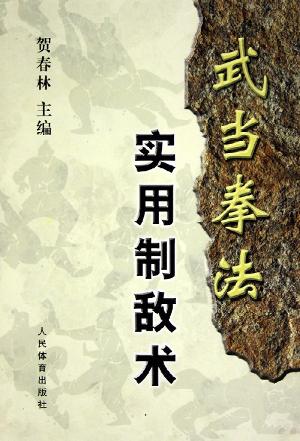 武当拳法实用制敌术