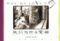 我们为什么爱猫