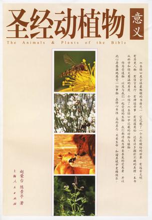 圣经动植物意义