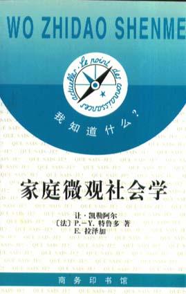 家庭微观社会学