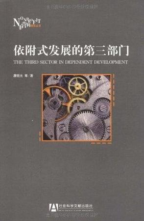 依附式发展的第三部门
