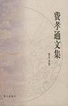 费孝通文集15
