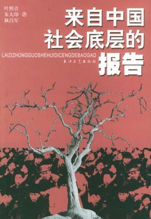 来自中国社会底层的报告