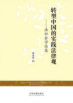 转型中国的实践法律观
