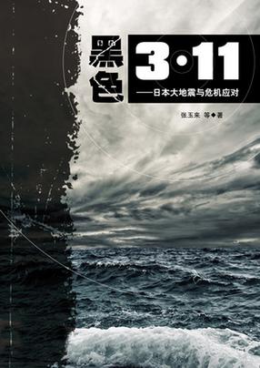 黑色3·11