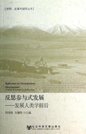 反思参与式发展