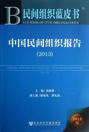 中国民间组织报告（2013年）