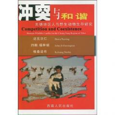 冲突与和谐