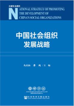 中国社会组织发展战略