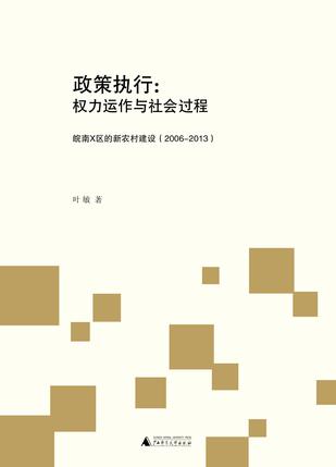 政策执行：权力运作与社会过程