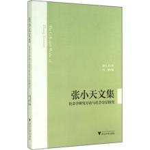 张小天文集