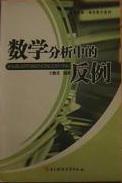 数学分析中的反例