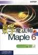 数学魔法师Maple 6