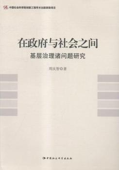 在政府与社会之间：基层治理诸问题研究