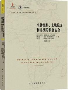 生物燃料、土地掠夺和非洲的粮食安全
