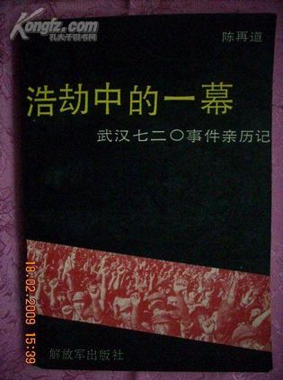 浩劫中的一幕