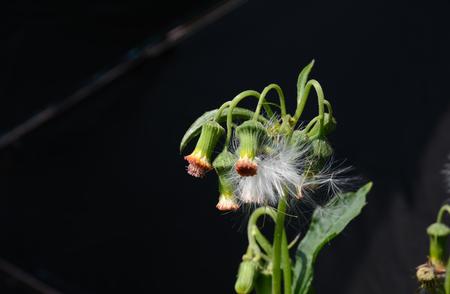 中医非药物疗法