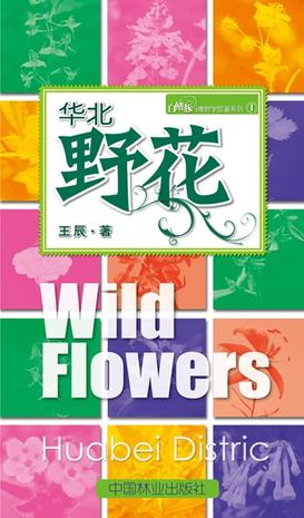 华北野花
