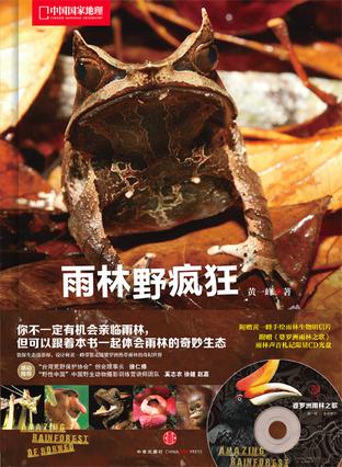 雨林野疯狂