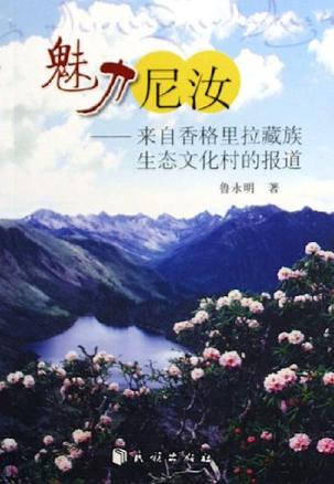 魅力尼汝