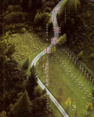 行走在绿海