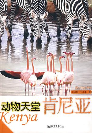 动物天堂-肯尼亚
