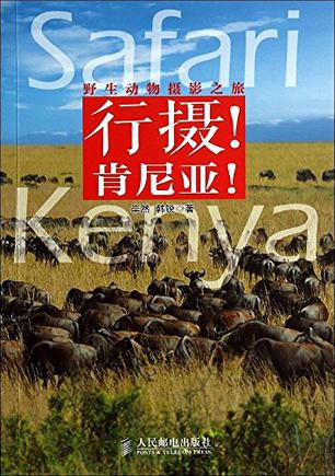 野生动物摄影之旅