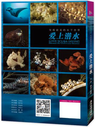 爱上潜水