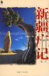 新疆广记