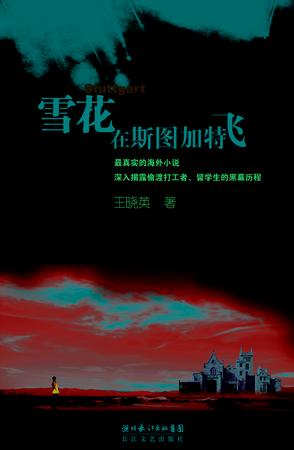 雪花在斯图加特飞