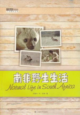 南非野生生活