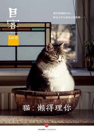Lens·目客004·猫：懒得理你