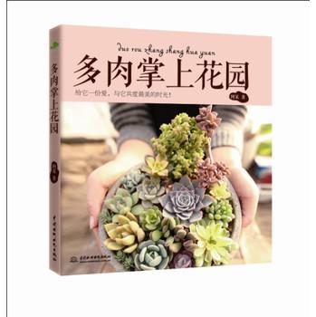 多肉掌上花园