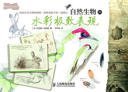 自然生物的水彩极致表现